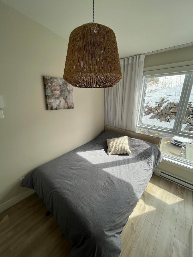 Le Riverain - Condo Neuf Au Bord De L'Eau Shawinigan Exterior photo